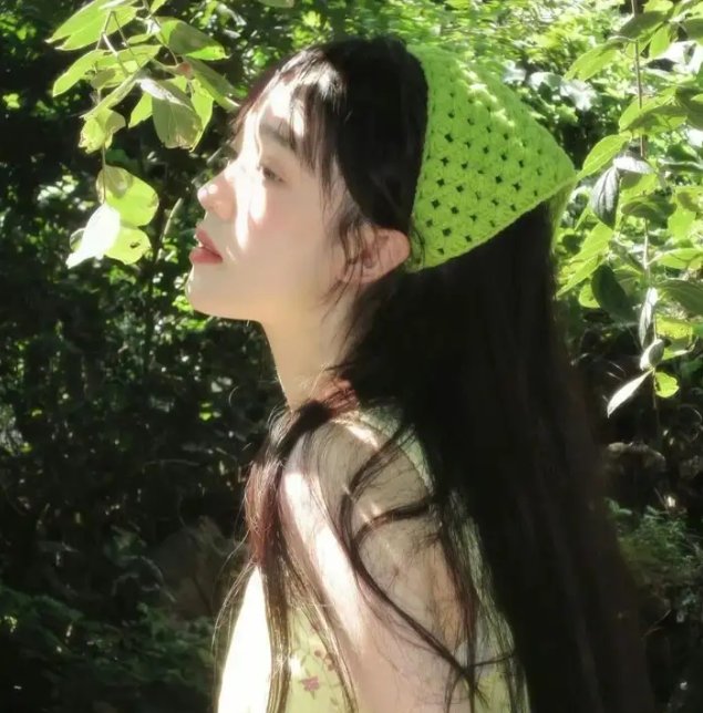 翠湖艳尸案