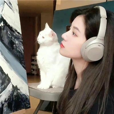 圣迭哥的一夜